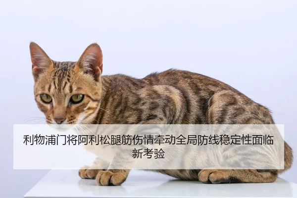 利物浦门将阿利松腿筋伤情牵动全局防线稳定性面临新考验